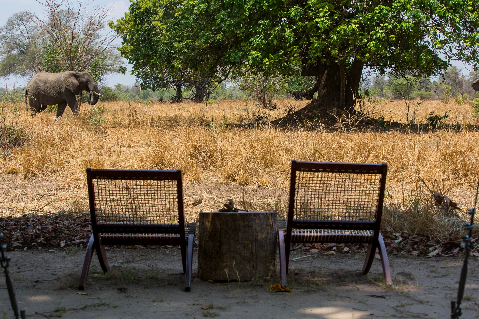 South Luangwa
