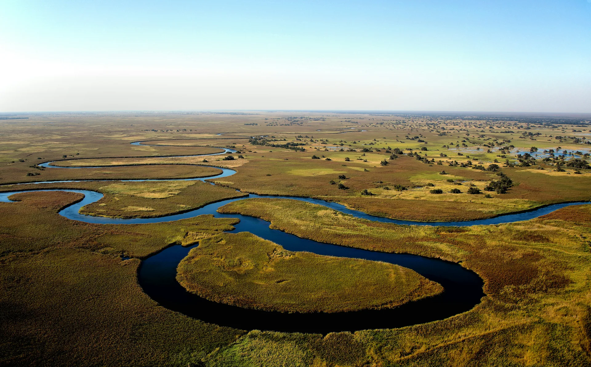 Botswana safari