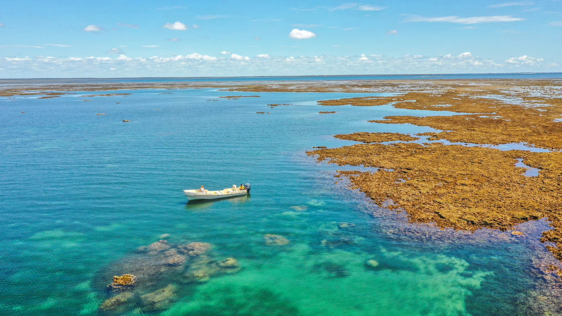 Manda Bay — photo 21