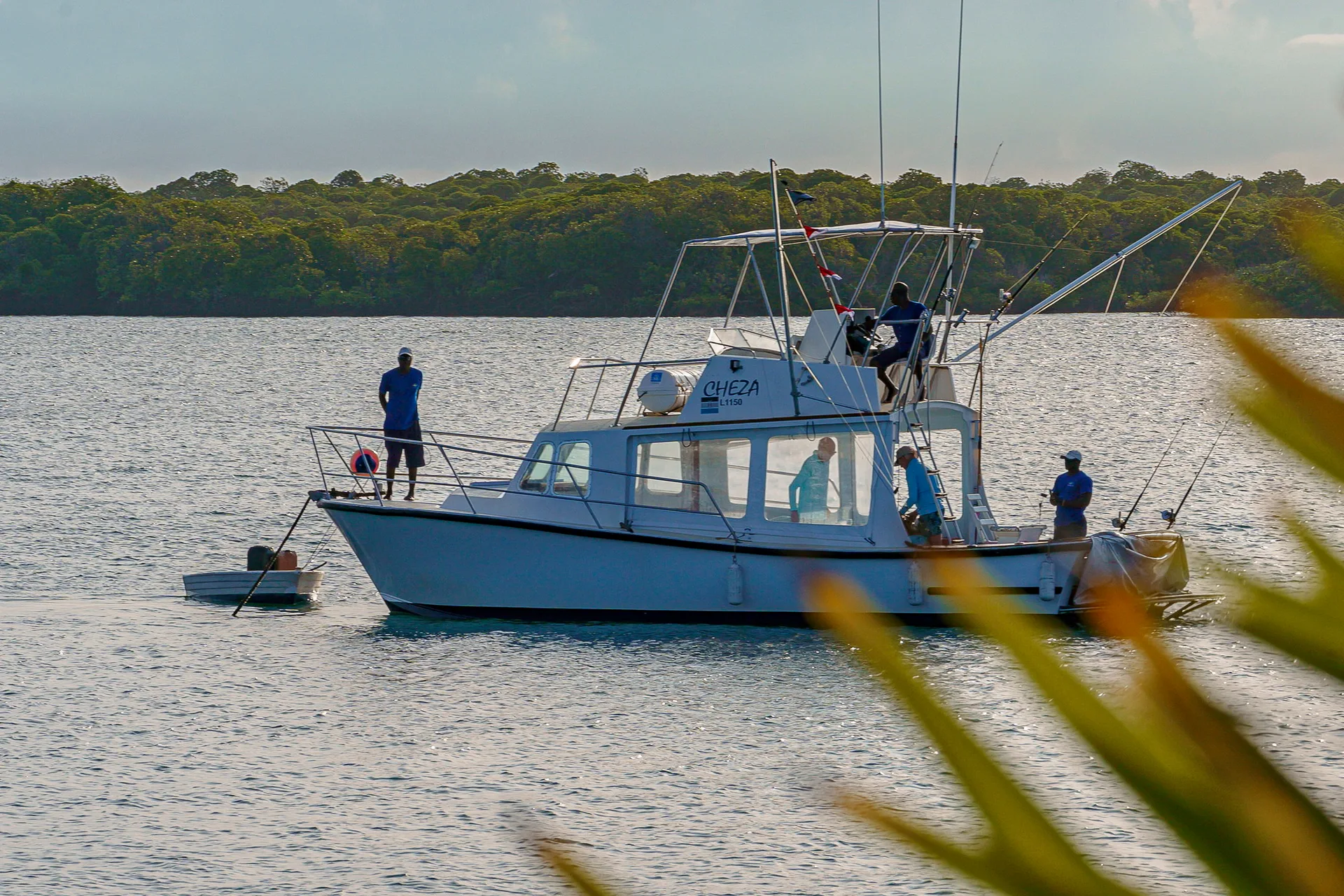Manda Bay — photo 15