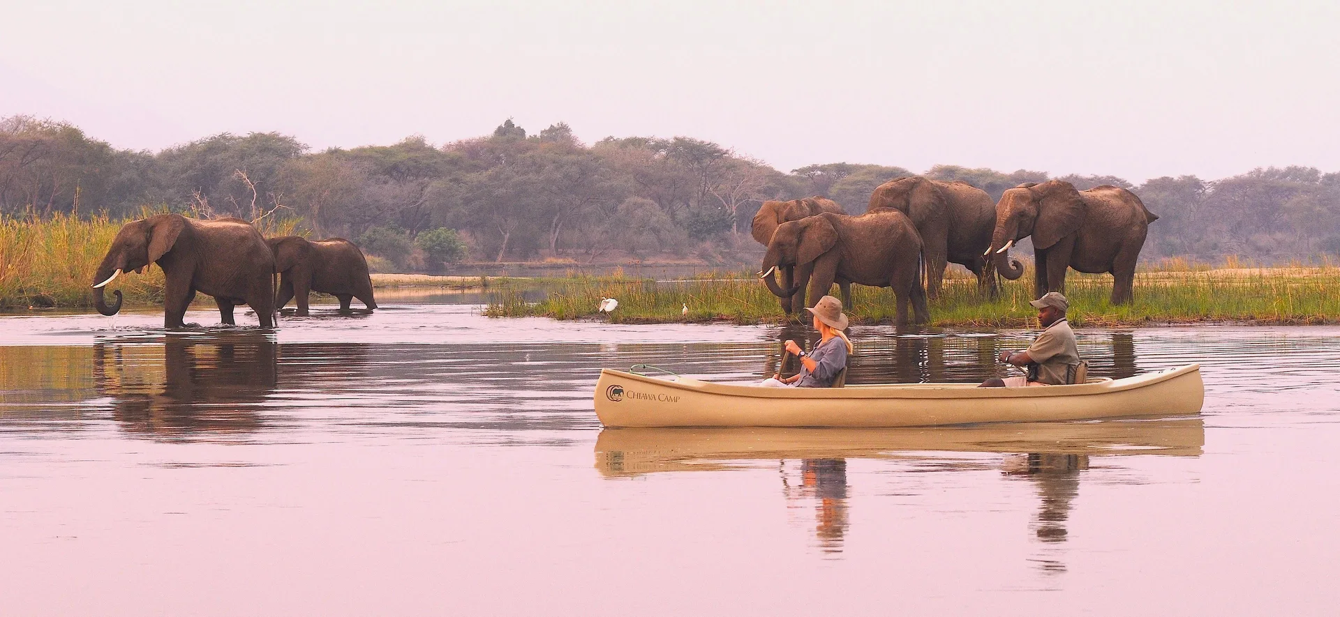 Zambia safari