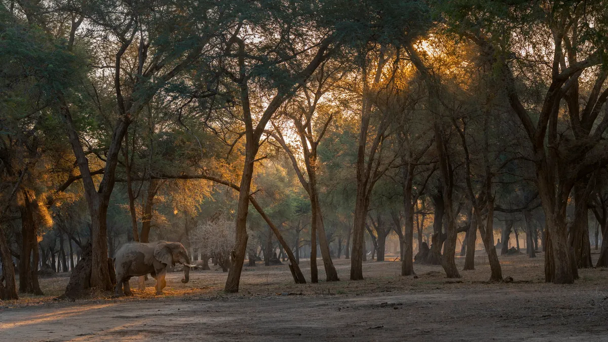 Anabezi — photo 12