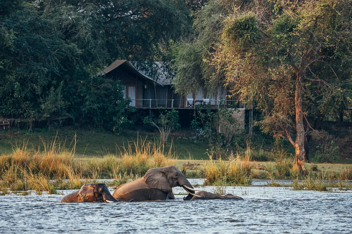 Anabezi — photo 4