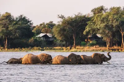 Anabezi, Lower Zambezi, Zambia