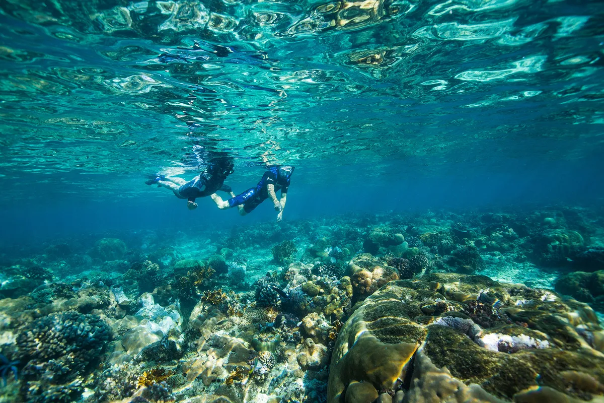 Azura Marlin Beach — photo 8