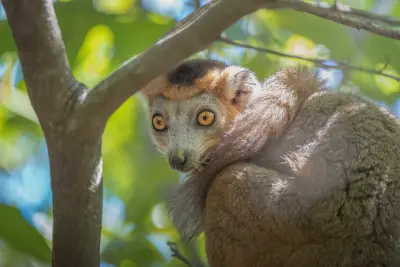 Ultra Luxe: South Africa to Madagascar