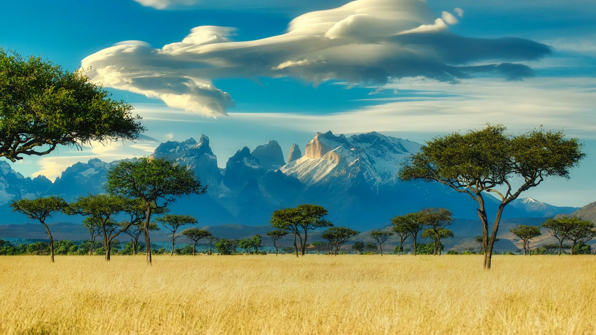 Kenya safari