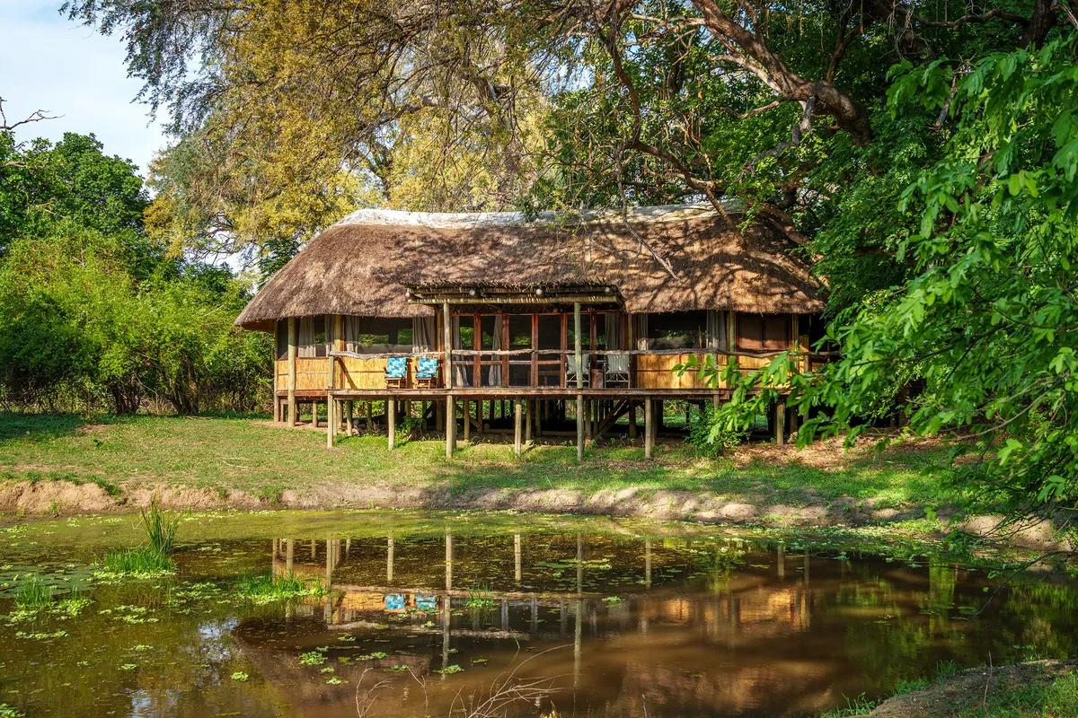 Bilimungwe Bushcamp — photo 8