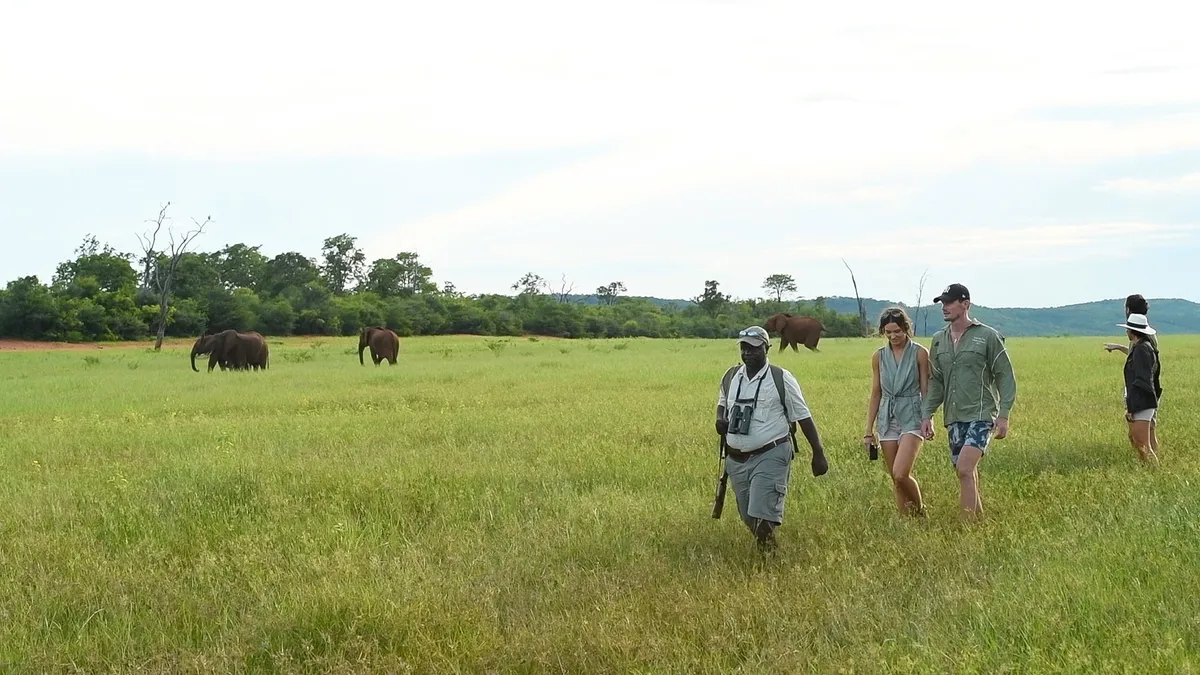Bumi Hills Safari Lodge — photo 49