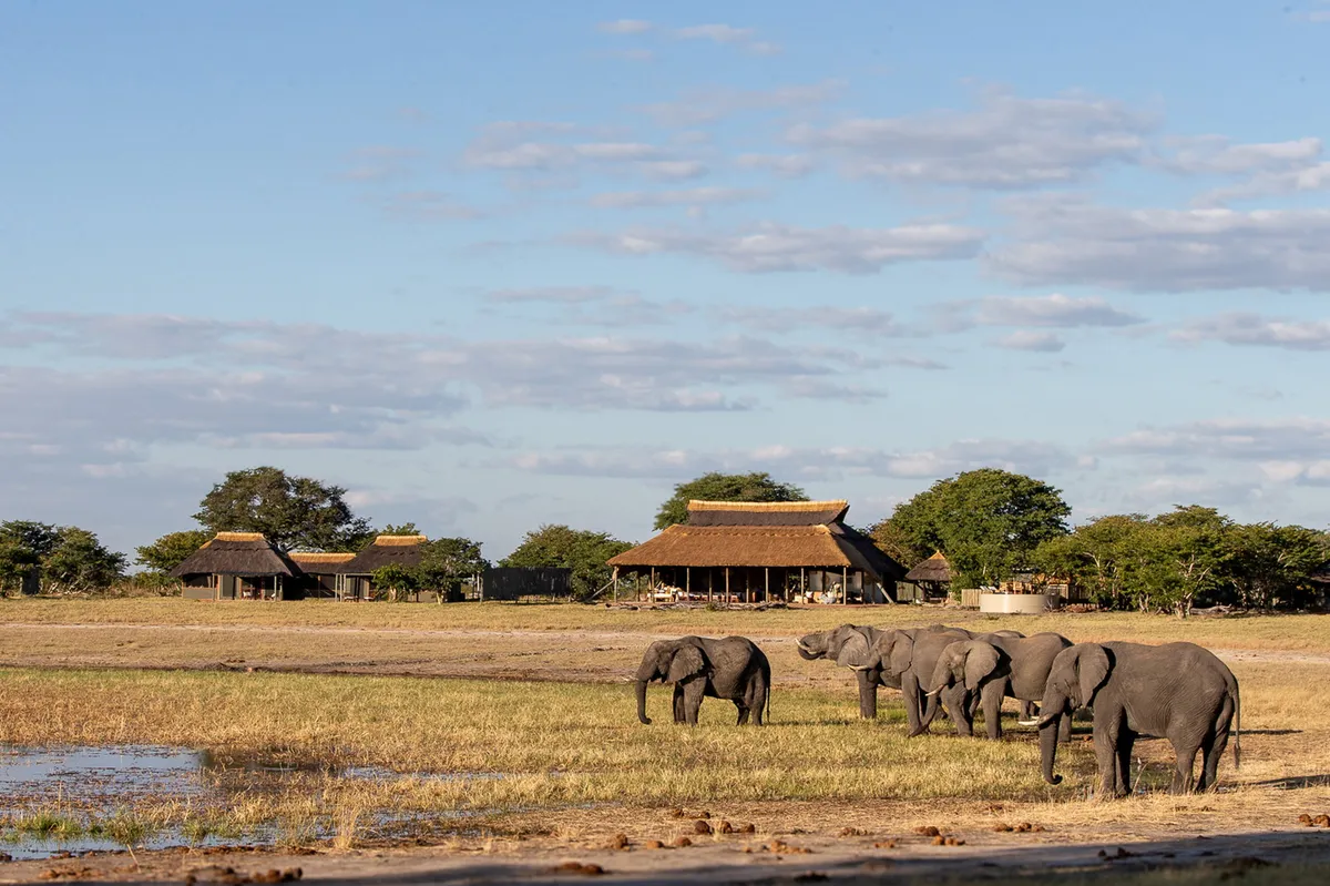 Camp Hwange — photo 2