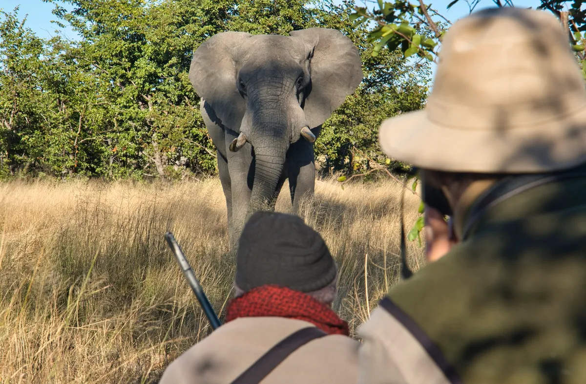 Camp Hwange — photo 26