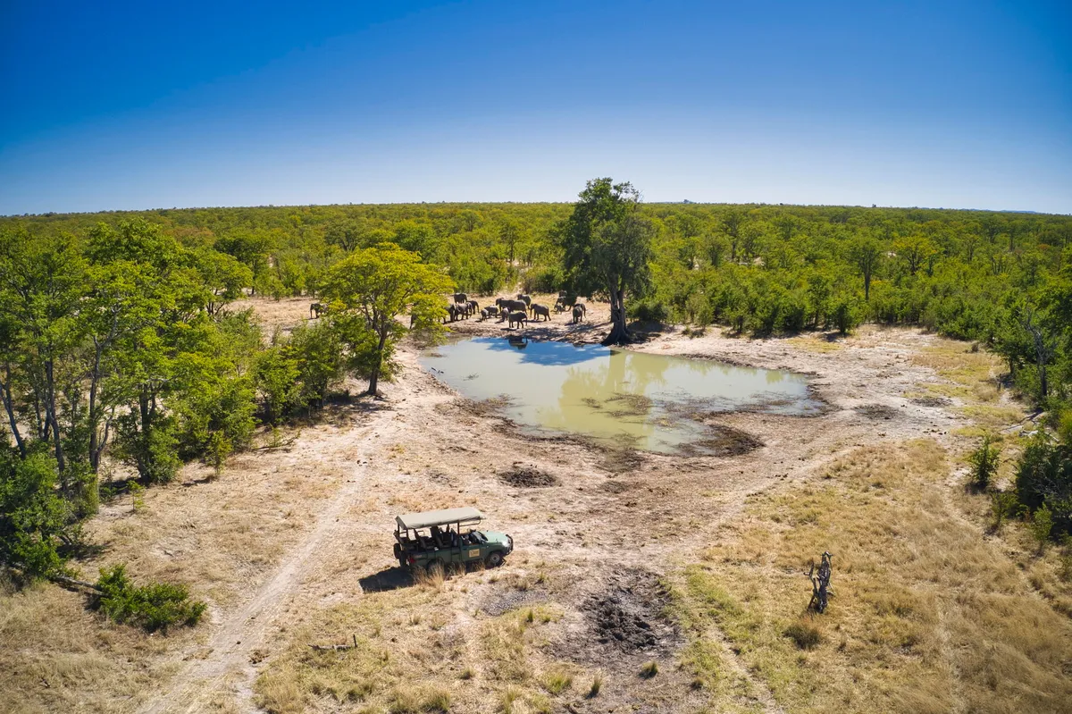 Camp Hwange — photo 29