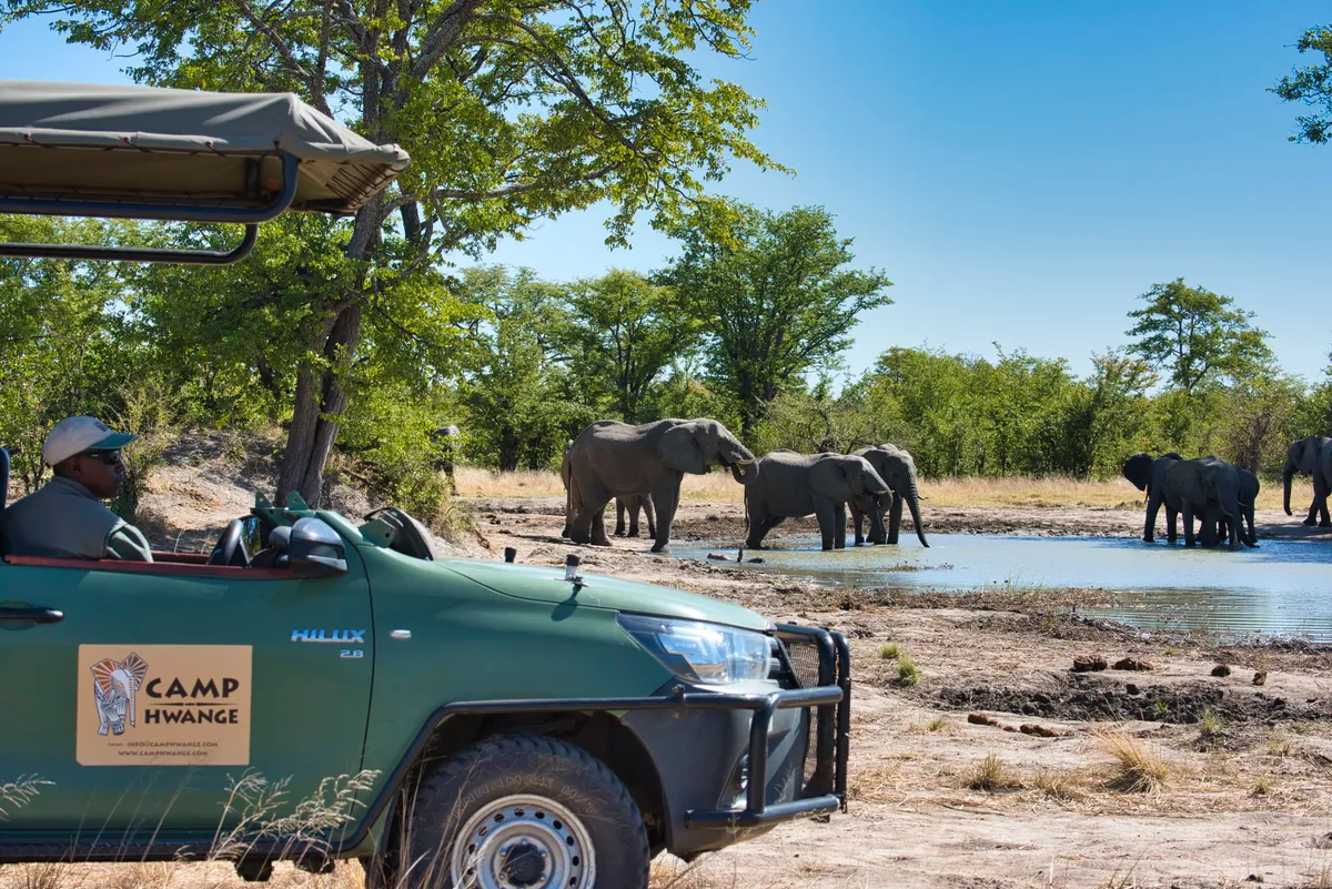 Camp Hwange — photo 30