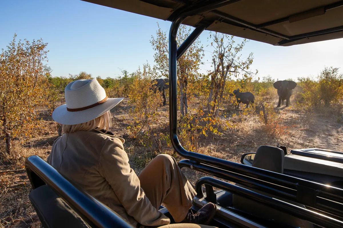 Camp Hwange — photo 9