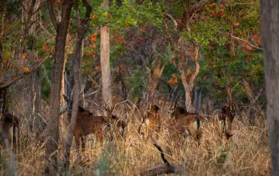 Chada Katavi, Katavi, Tanzania
