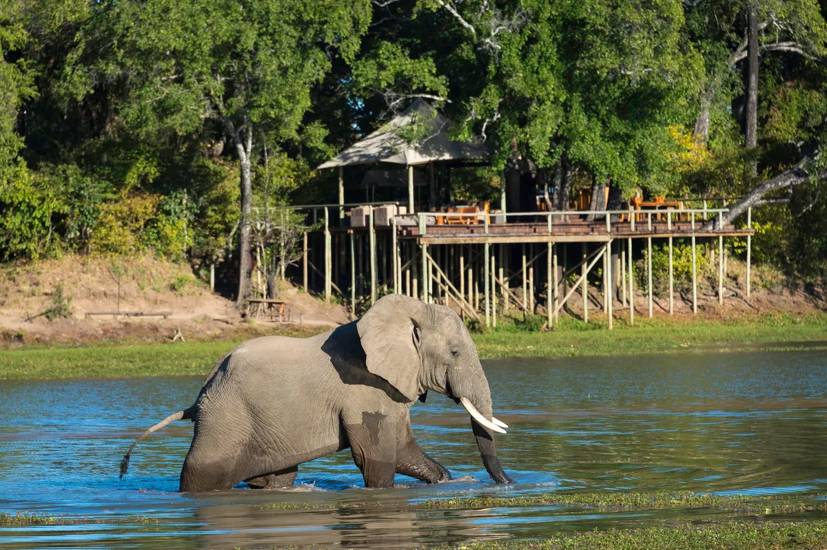 Chindeni Bushcamp — photo 10
