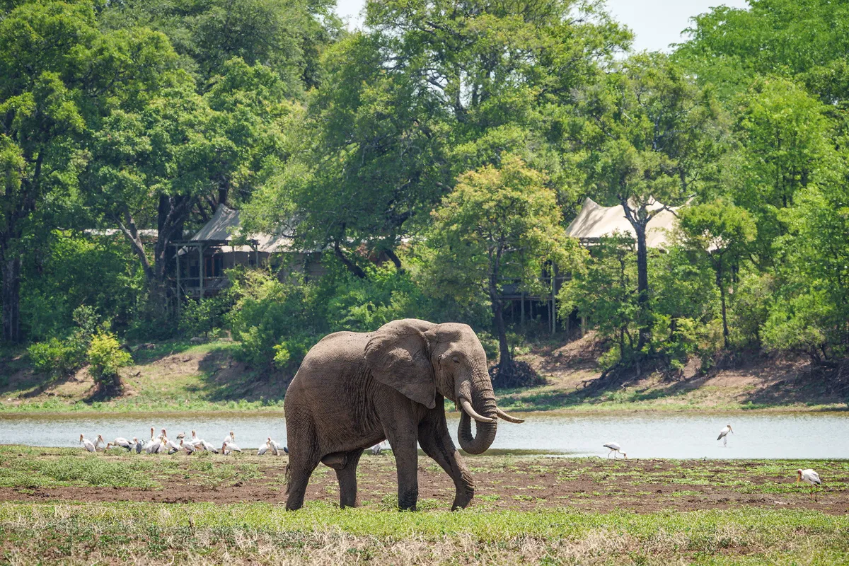 Chindeni Bushcamp — photo 8