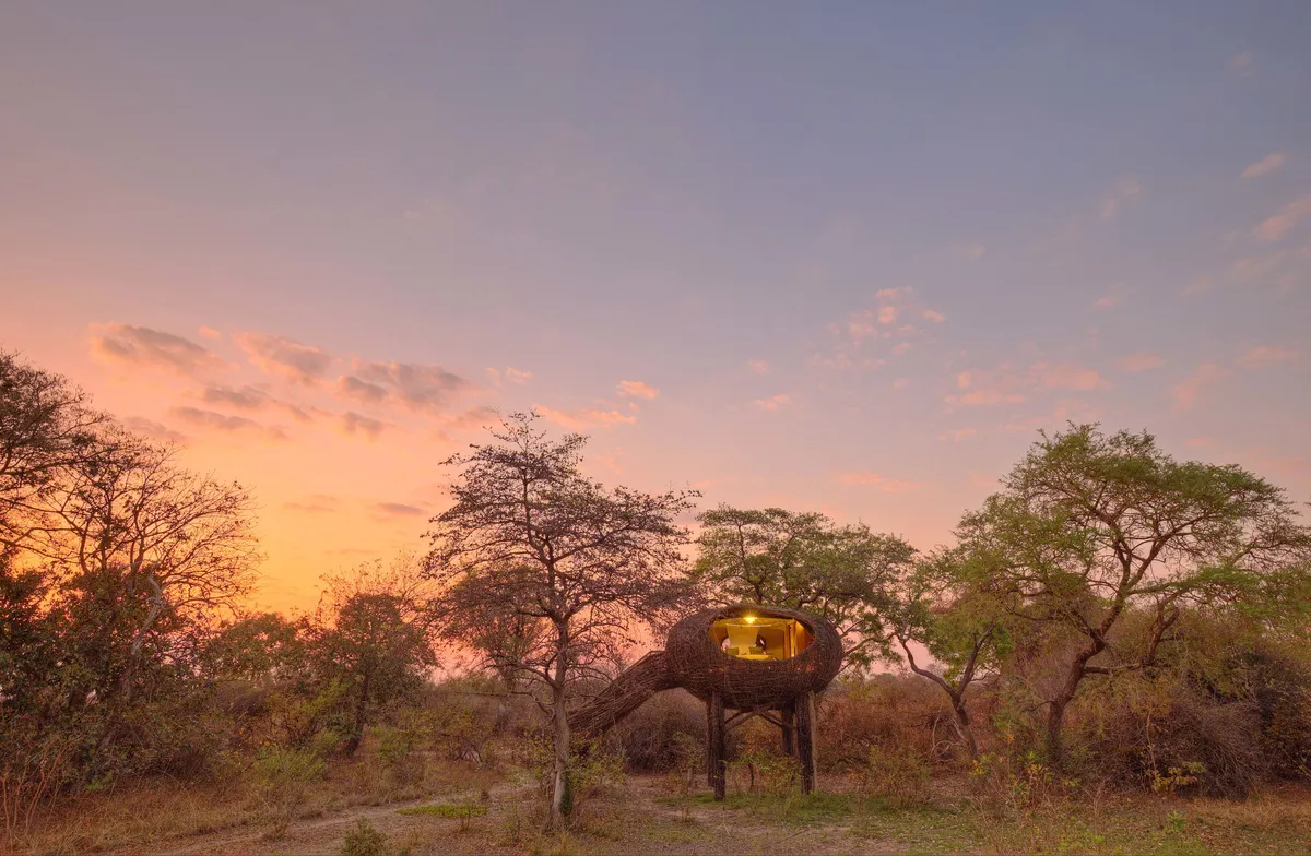 Chisa Busanga Camp — photo 10