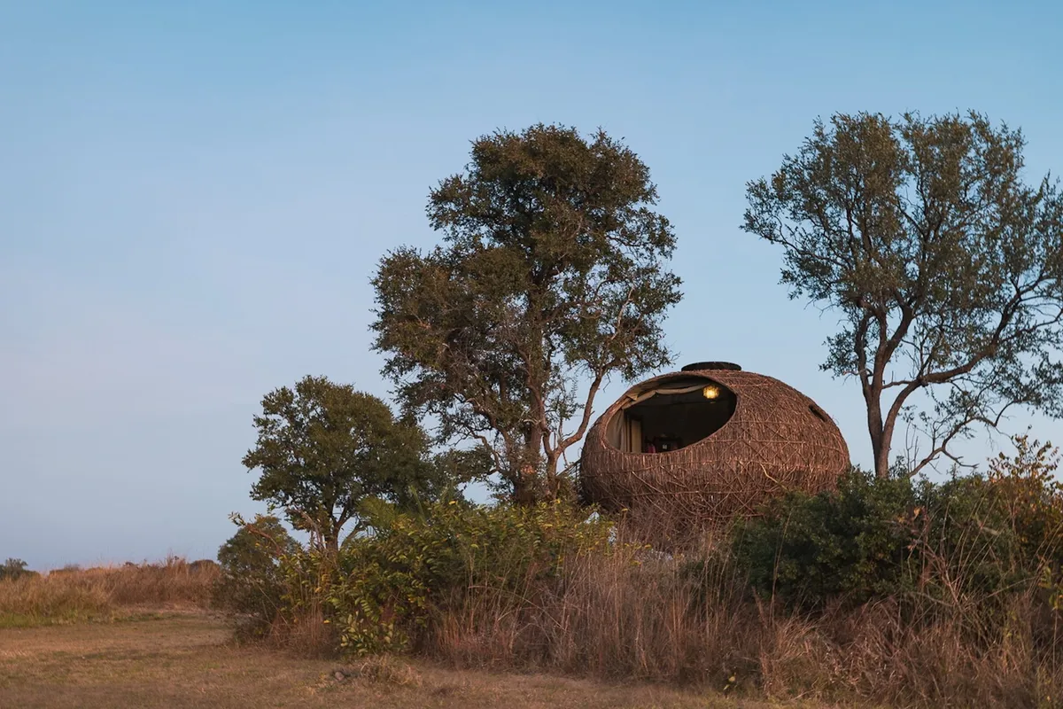 Chisa Busanga Camp — photo 15