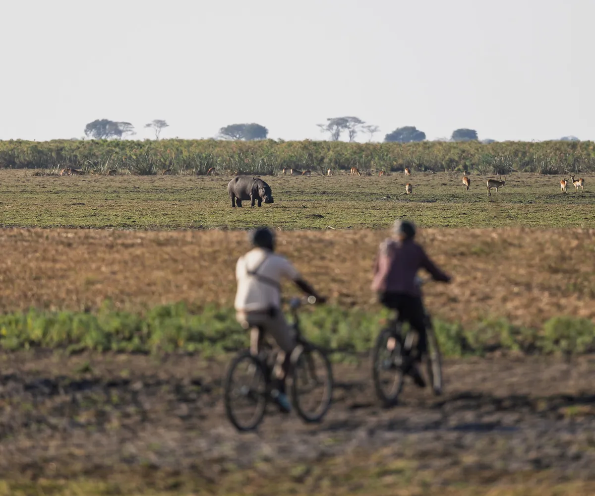 Chisa Busanga Camp — photo 18