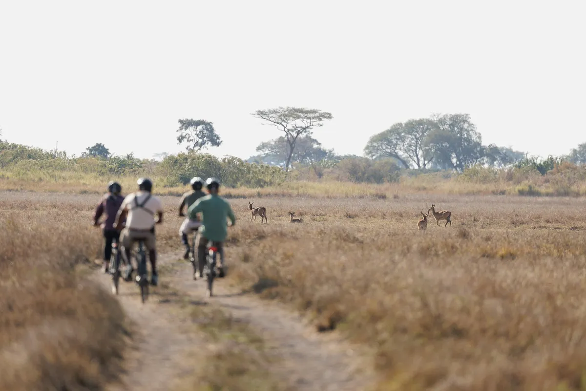 Chisa Busanga Camp — photo 19