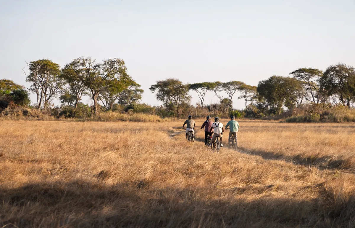 Chisa Busanga Camp — photo 20
