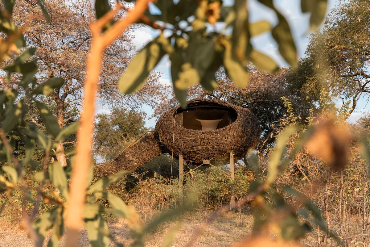 Chisa Busanga Camp — photo 25