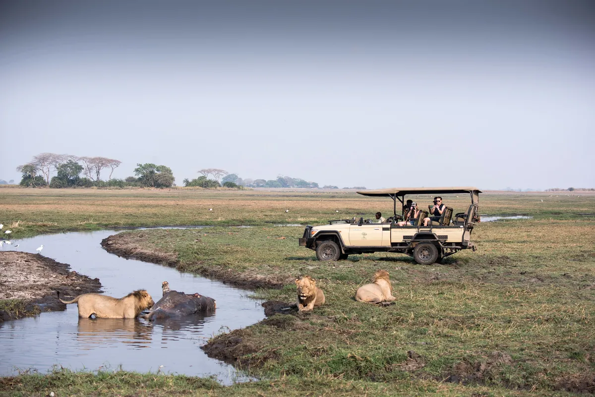 Chisa Busanga Camp — photo 32