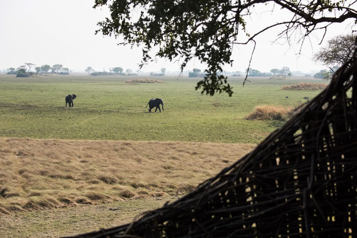 Chisa Busanga Camp — photo 35