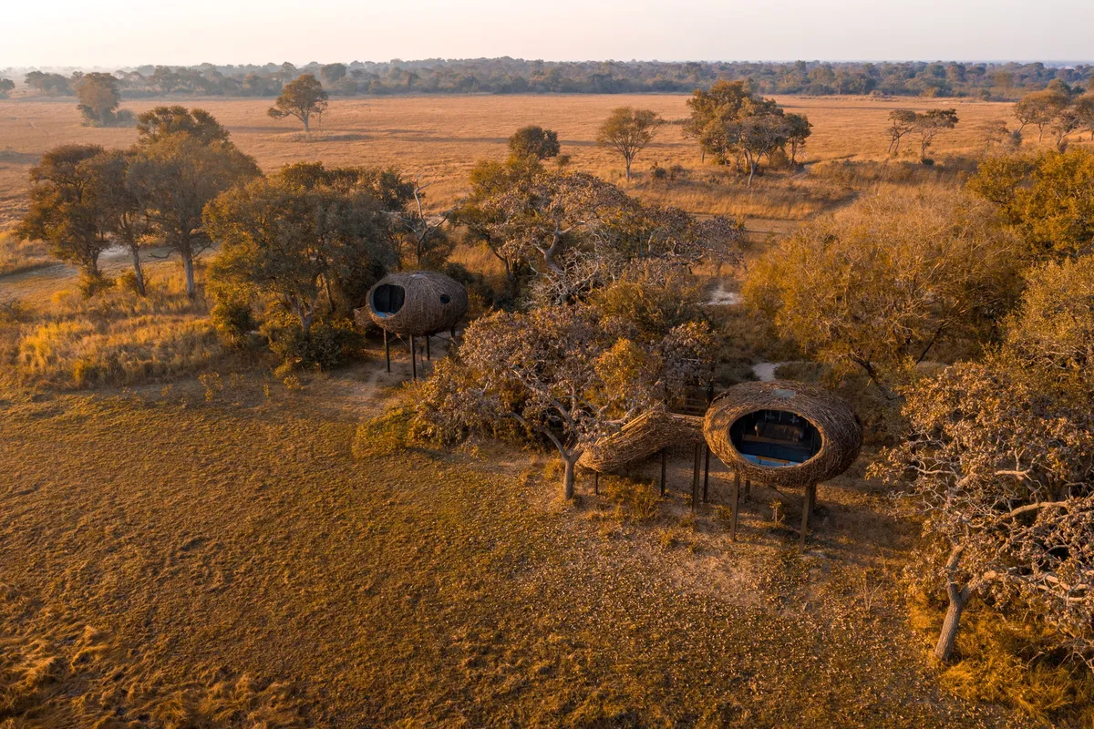 Chisa Busanga Camp — photo 39