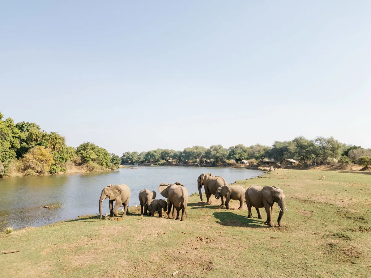 Chongwe Camp — photo 7