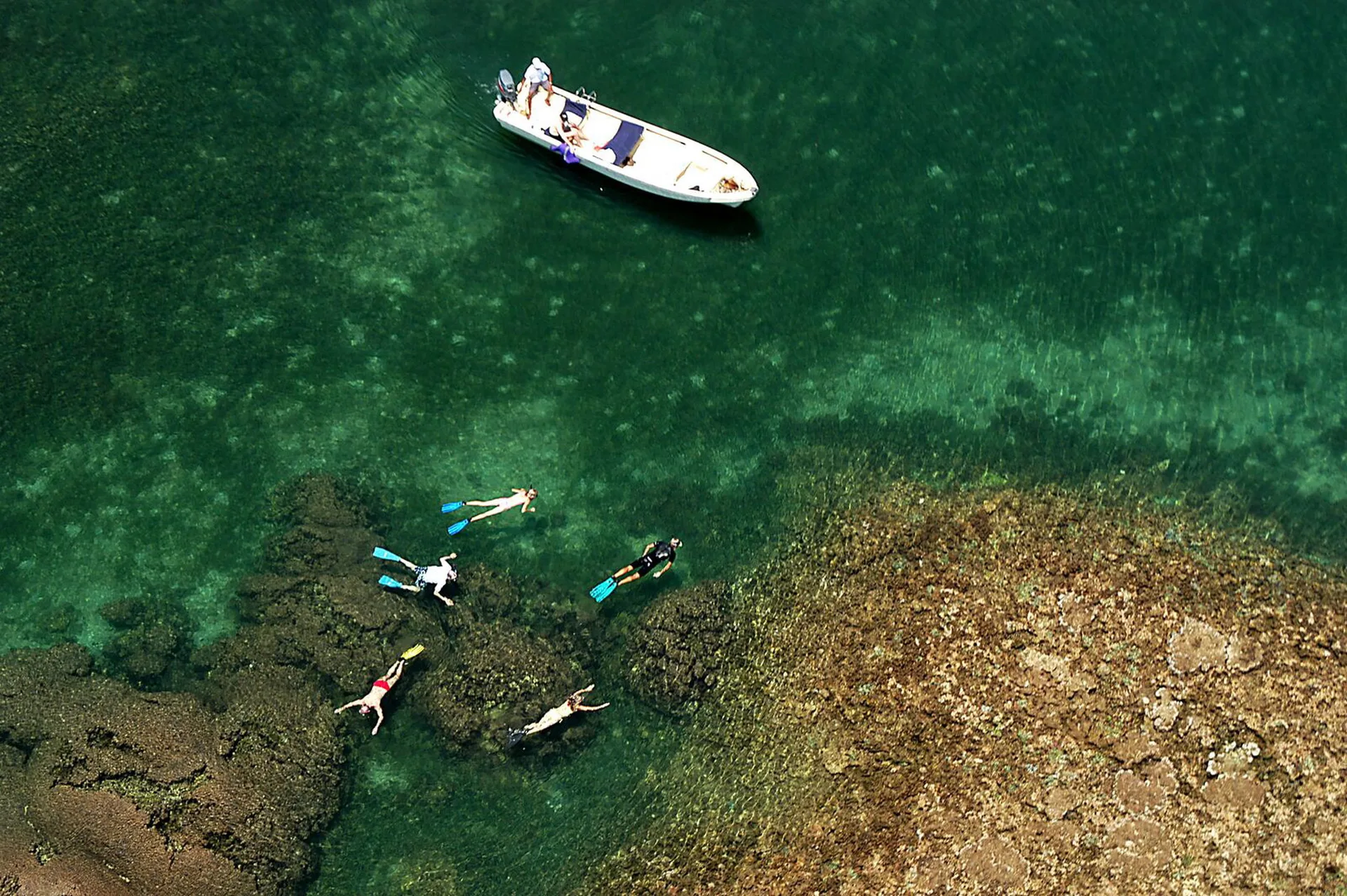 Manda Bay — photo 13