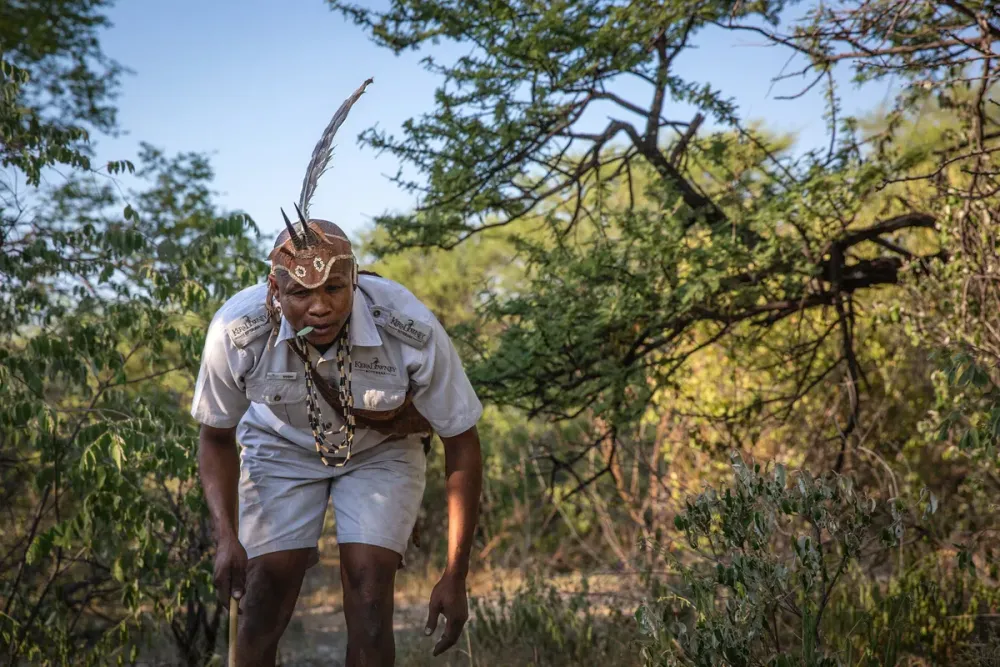 Dinaka, Central Kalahari, Botswana