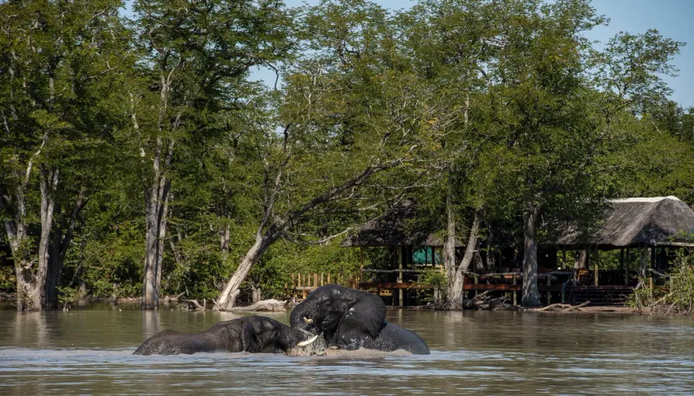 Elephant Pan, Okavango Delta, Botswana