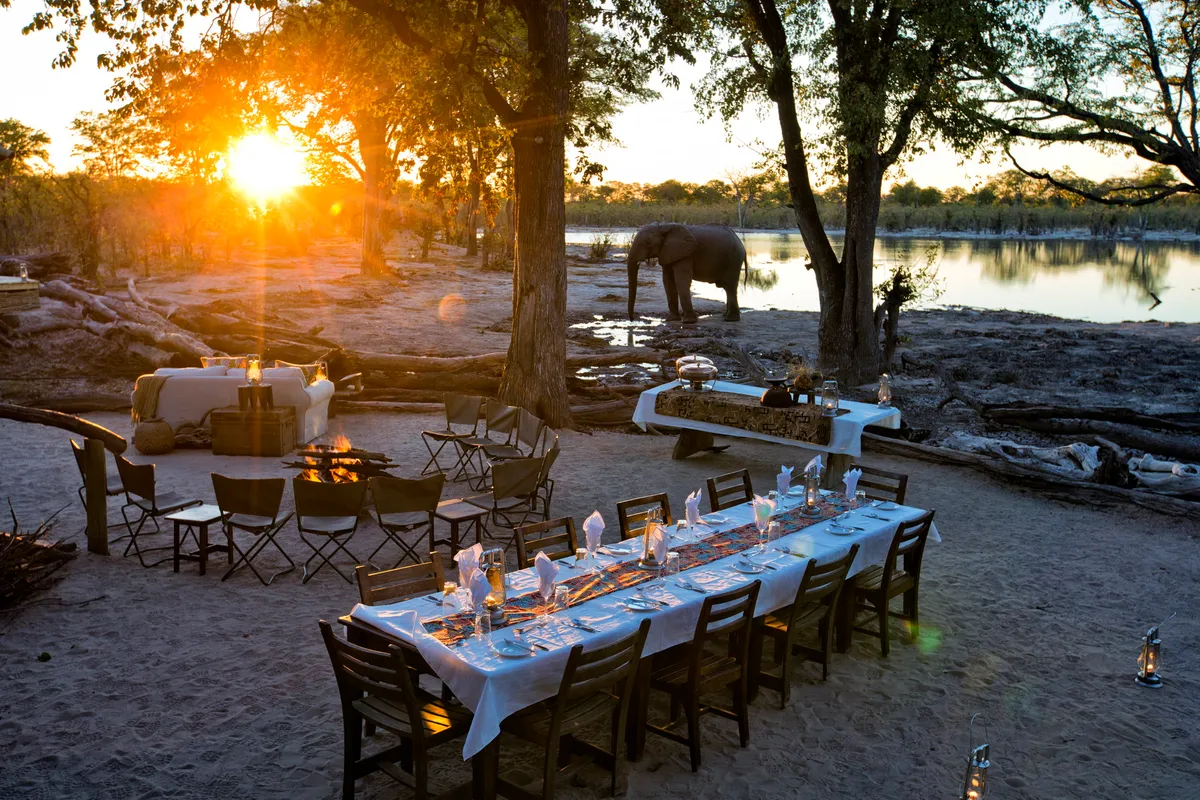 Elephant Pan — photo 10