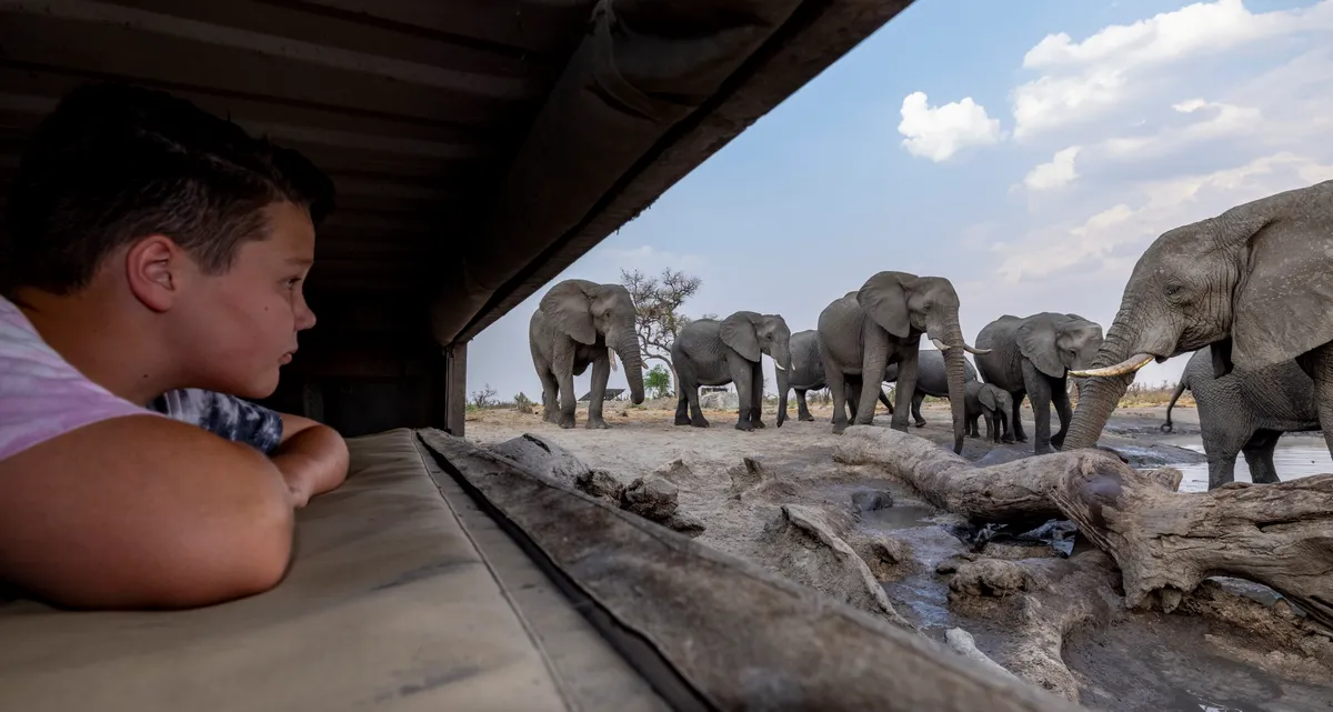 Elephant Pan — photo 12