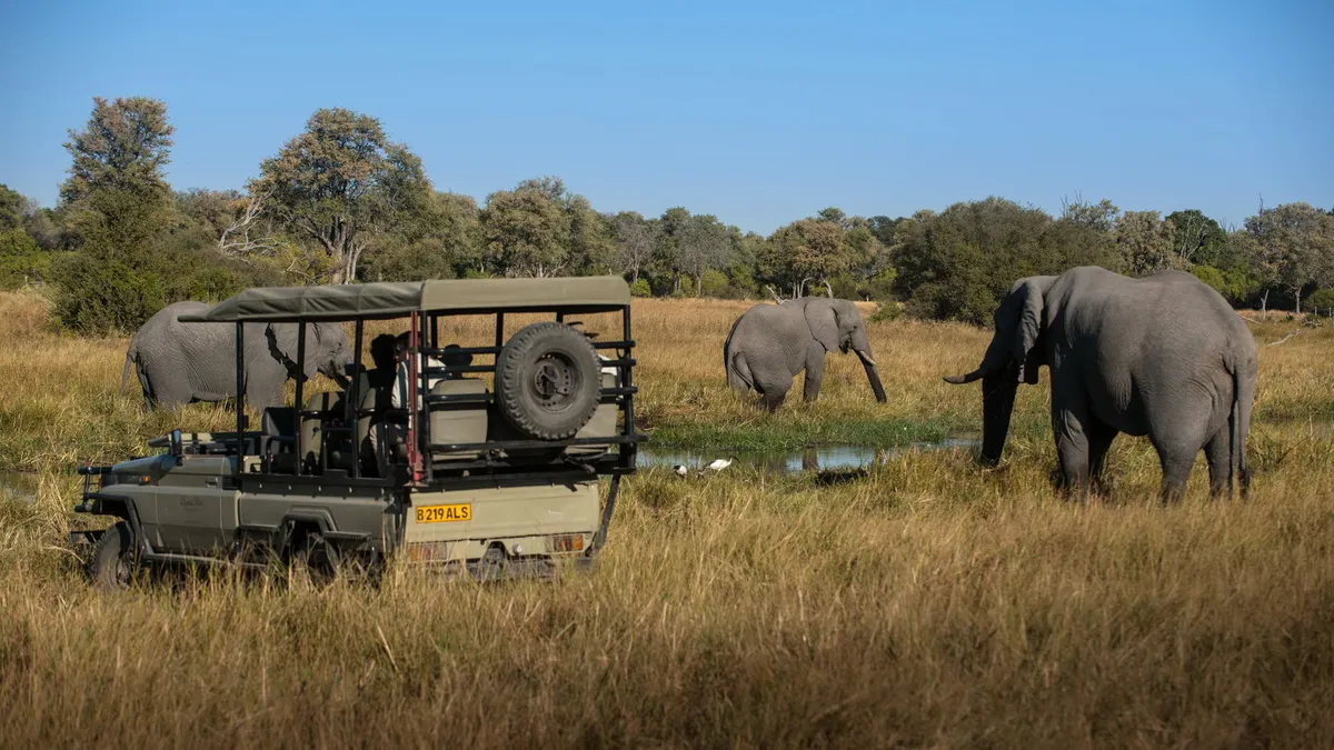 Elephant Pan — photo 7