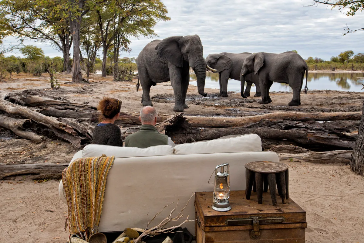 Elephant Pan — photo 8