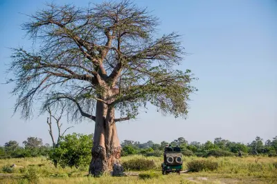 Expeditions Camp, Okavango Delta, Botswana