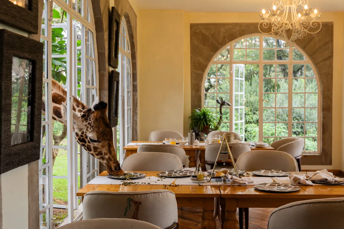 Giraffe Manor — Garden Manor — photo 11