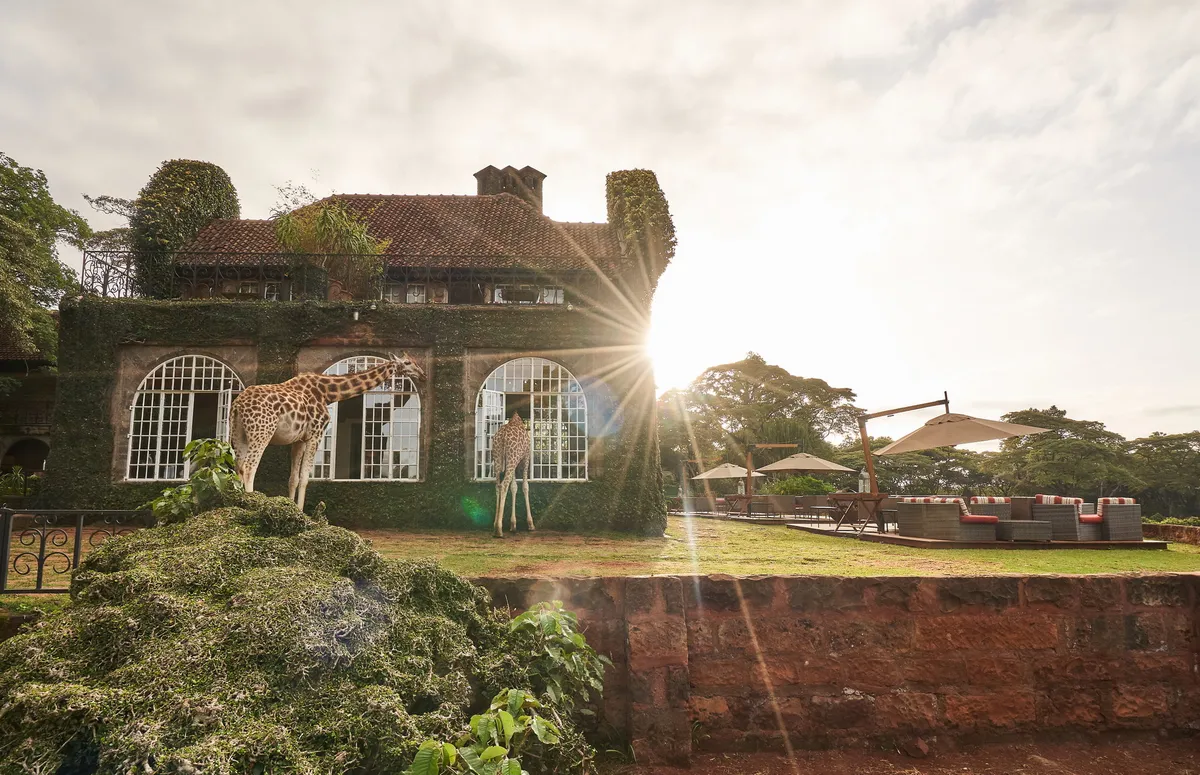 Giraffe Manor — Garden Manor — photo 5