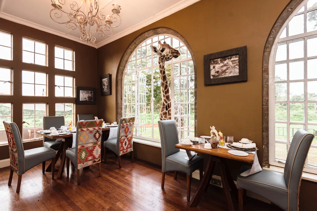 Giraffe Manor — Garden Manor — photo 59