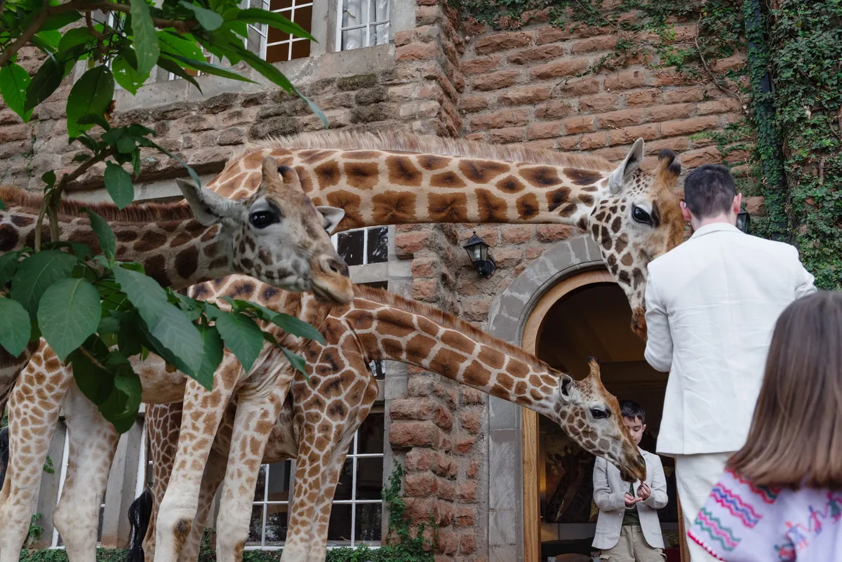 Giraffe Manor — Garden Manor — photo 68