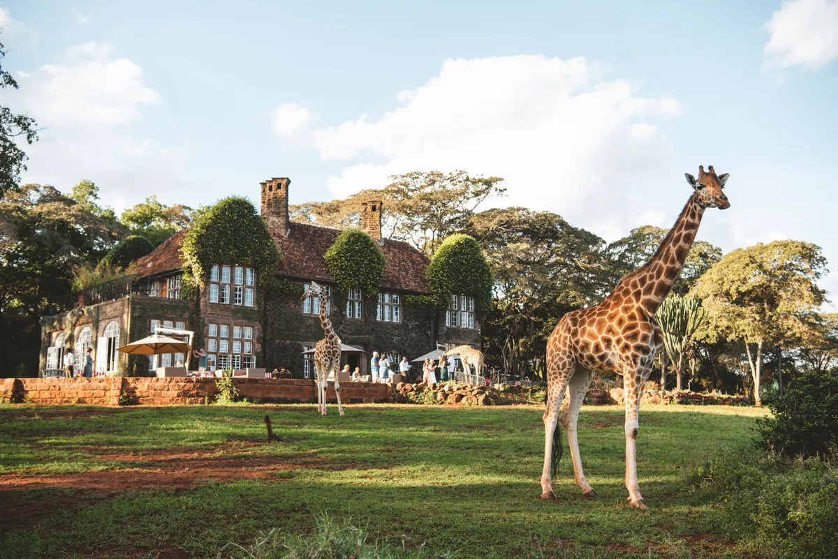 Giraffe Manor — Historic Manor — photo 101