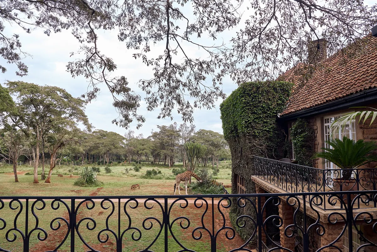 Giraffe Manor — Historic Manor — photo 120
