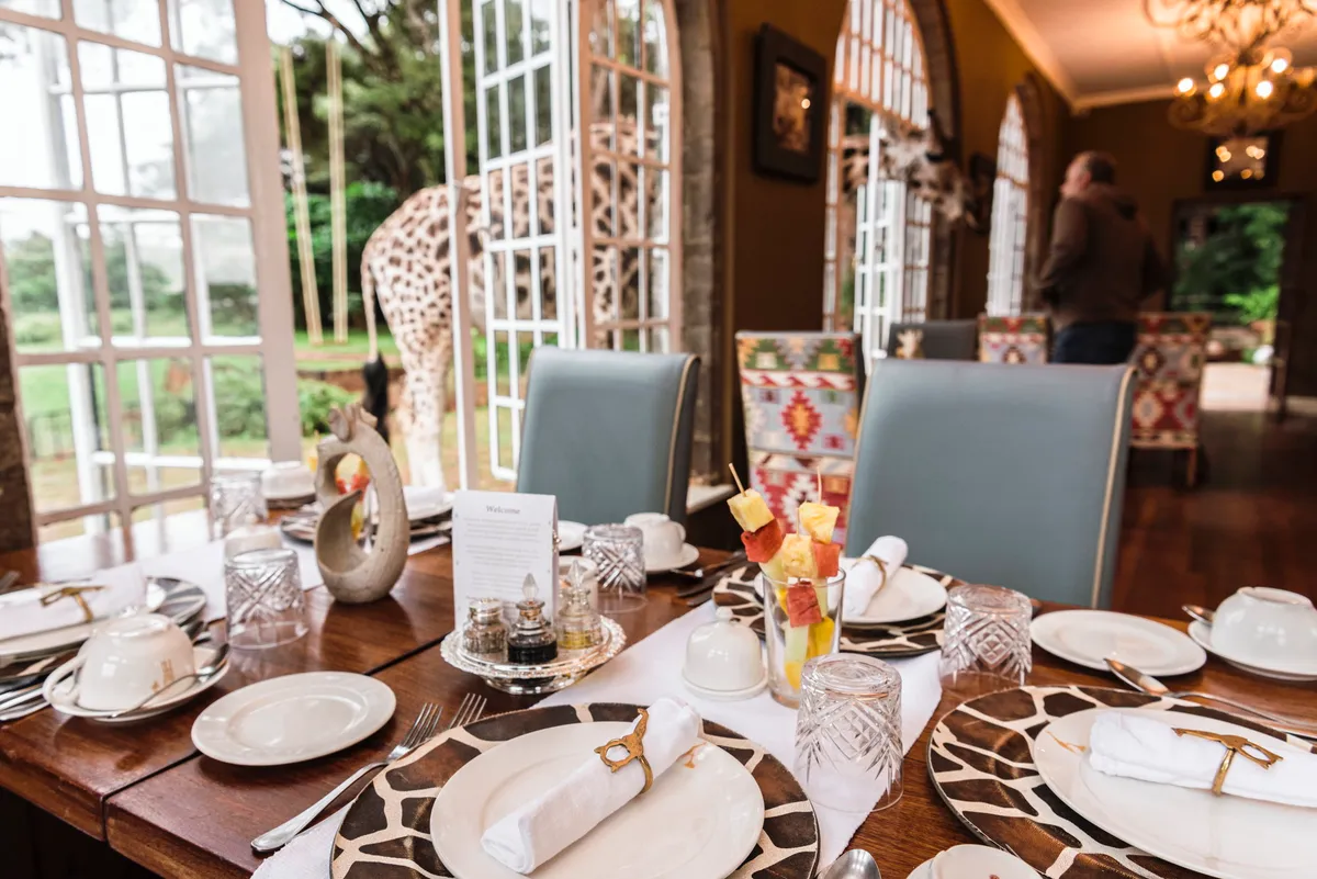 Giraffe Manor — Historic Manor — photo 133