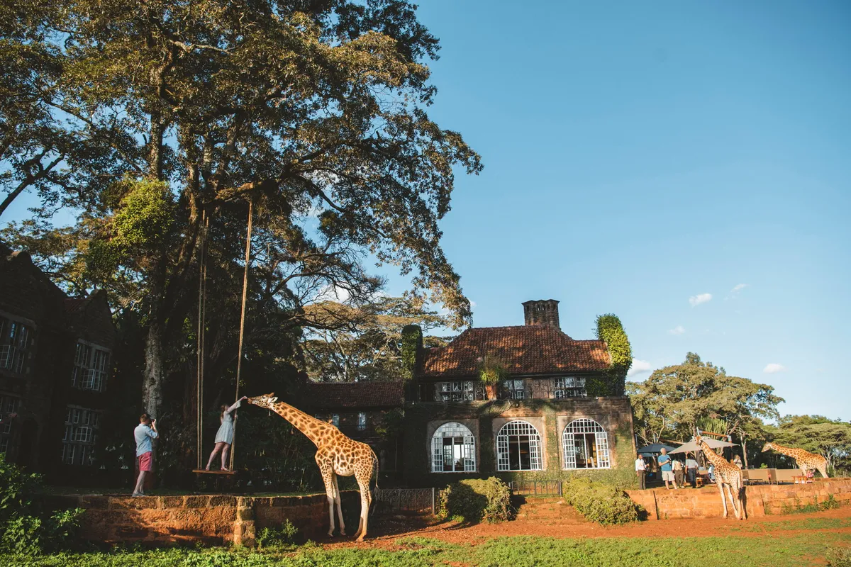 Giraffe Manor — Historic Manor — photo 93