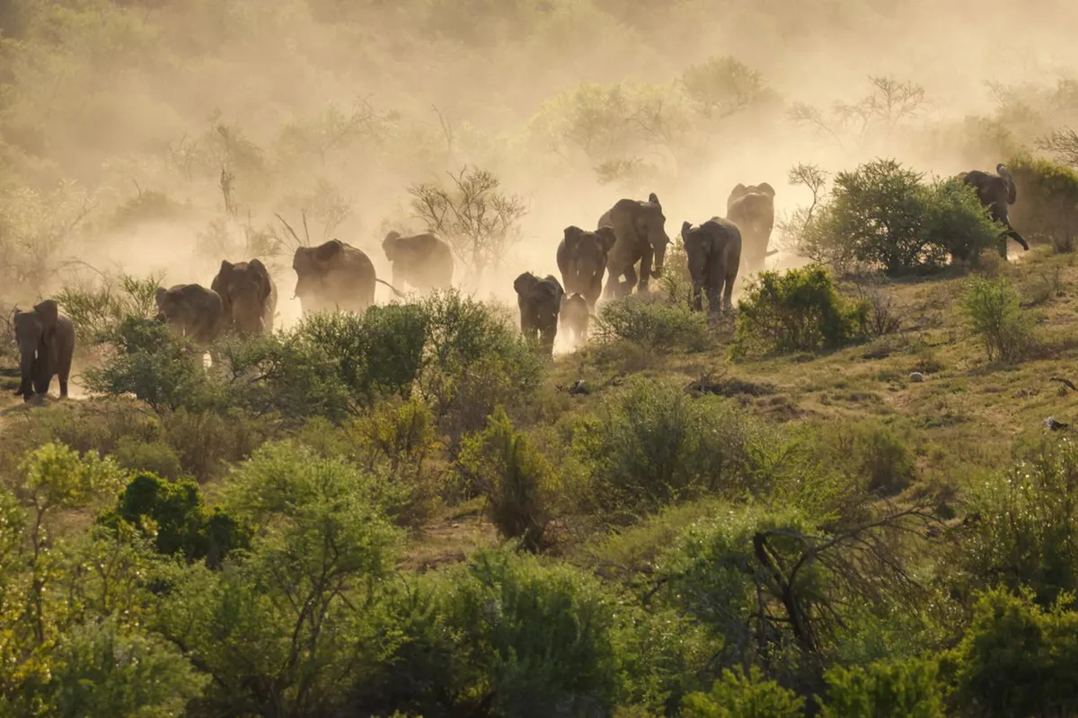 Great Fish River Lodge — photo 2