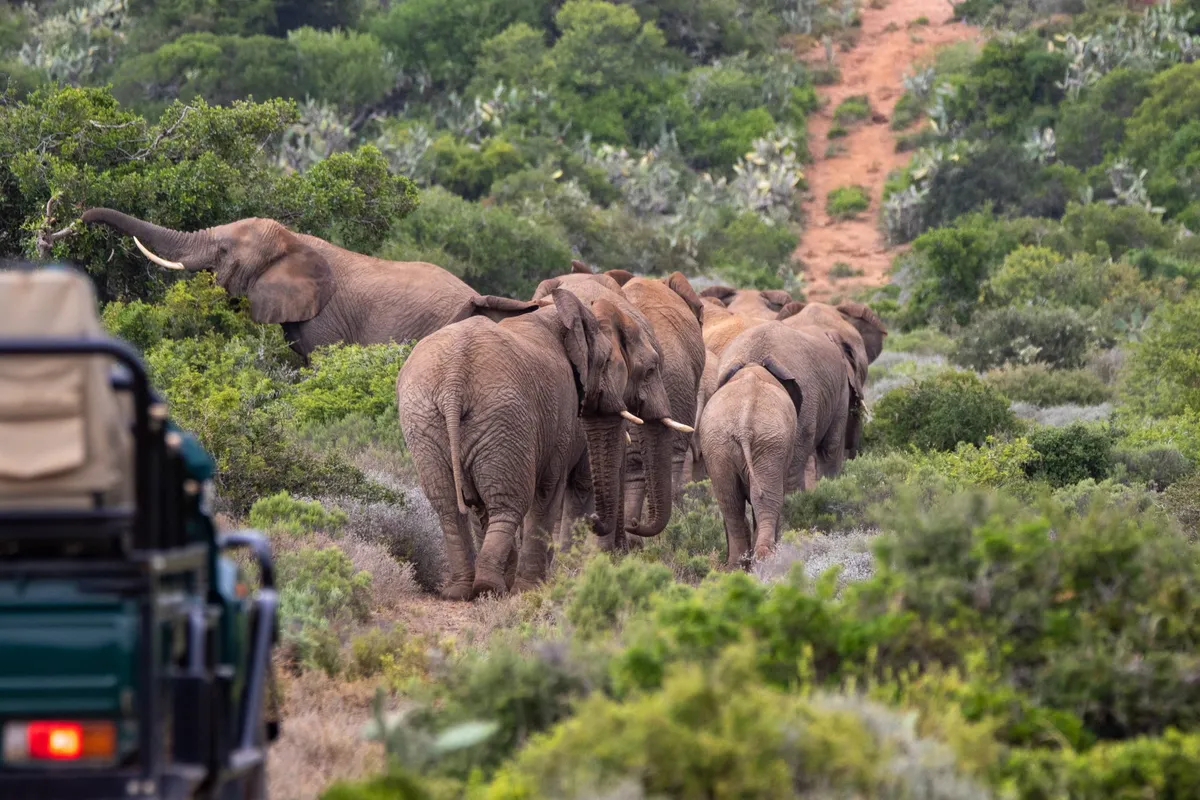 Great Fish River Lodge — photo 26