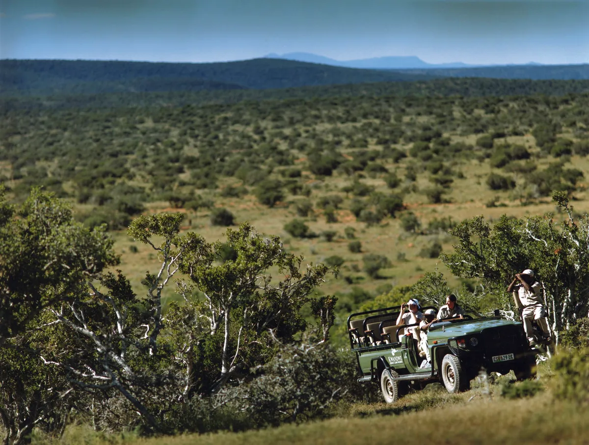 Great Fish River Lodge — photo 36